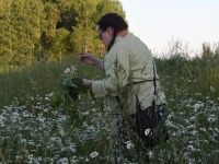 030 Līgo Ķoņu kalns’i mäel. Foto: Urmas Saard / Külauudised