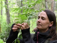Loodusretkel nimetu allika juurde. Foto: Urmas Saard / Külauudised