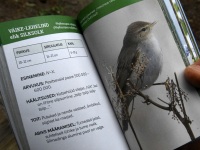 Loodusretkel nimetu allika juurde. Foto: Urmas Saard / Külauudised