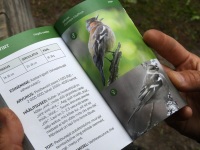 Loodusretkel nimetu allika juurde. Foto: Urmas Saard / Külauudised