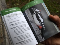 Loodusretkel nimetu allika juurde. Foto: Urmas Saard / Külauudised