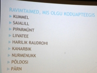 Loodusterapeut Irja Suvisild loenguga Tartu Ülikooli Pärnu kolledži väärikate ülikoolis. Foto: Urmas Saard / Külauudised