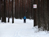Reiu-Raeküla suusarajal. Foto: Urmas Saard / Külauudised