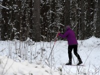 Reiu-Raeküla suusarajal. Foto: Urmas Saard / Külauudised