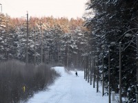 Reiu-Raeküla suusarajal. Foto: Urmas Saard / Külauudised