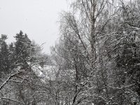 Lumi 25. aprilli hommikul Sindis. Foto: Urmas Saard / Külauudised
