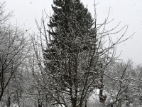 Lumi 25. aprilli hommikul Sindis. Foto: Urmas Saard / Külauudised