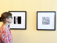 Marko Toomasti näituse “Betula” avamine Tallinna Ülikooli Akadeemilise Raamatukogu teise korruse galeriis. Foto. Urmas Saard / Külauudised