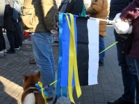 Meeleavaldus Pärnus Iseseisvuse väljakul Ukraina toetuseks. Foto: Urmas Saard / Külauudised