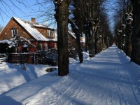 Sindi vabriku meistri elamud Wöhrmanni puiesteel. Foto: Urmas Saard / Külauudised