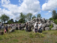 Müstilisust täis Põlise leppe kivid. Foto: Urmas Saard / Külauudised