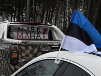 Pärnakad 20. märtsi autosõidul. Foto: Urmas Saard / Külauudised