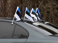 Pärnakad 20. märtsi autosõidul. Foto: Urmas Saard / Külauudised