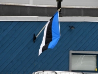 Pärnakad 20. märtsi autosõidul. Foto: Urmas Saard / Külauudised