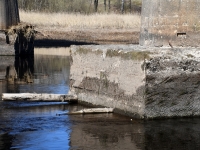 001 Pärnu jõgi Sindi silla kohal pärast paisu mahavõtmist. Foto: Urmas Saard