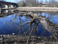 009 Pärnu jõgi Sindi silla kohal pärast paisu mahavõtmist. Foto: Urmas Saard