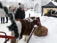 Pärnu Jõuluküla 2022 Iseseisvuse väljakul. Foto: Urmas Saard / Külauudised