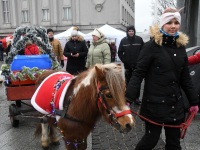 Pärnu kuues jüuluturg. Foto: Urmas Saard / Külauudised