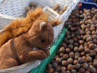 Pärnu kuues jüuluturg. Foto: Urmas Saard / Külauudised