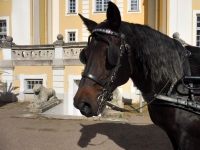 Pärnu muuseumi õpituba Palmse mõisas. Foto: Kärt Saard