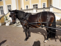 Pärnu muuseumi õpituba Palmse mõisas. Foto: Kärt Saard
