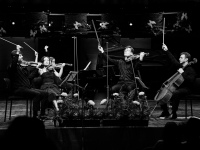 Pärnu muusikafestivali 17. juuli öökontsert kontserdimajas. Foto: Kaupo Kikkas