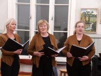  Pärnu Raeküla linnaosa suurejooneline kogukondlik sündmus reedel, 28.11.2025. Foto: Urmas Saard / Külauudised 