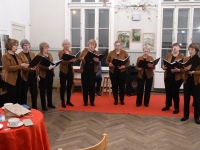  Pärnu Raeküla linnaosa suurejooneline kogukondlik sündmus reedel, 28.11.2025. Foto: Urmas Saard / Külauudised 