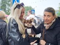 Pärnu toidutänav 2025. Foto: Urmas Saard / Külauudised