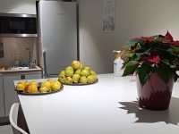 Pärnu Väärikate klubi pealinna külastamisel. Foto: Urmas Saard / Külauudised