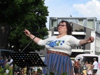Pärnumaa Mudilaste Laulu- ja Tantsupidu Vallikäärus. Foto: Urmas Saard / Külauudised