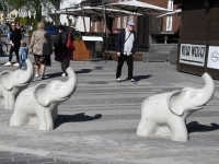 Pärnus on Supeluse tänav jalutamiseks avatud. Foto: Urmas Saard / Külauudised