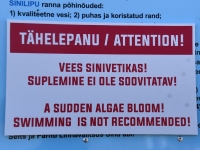 005 Punane lipp Pärnu keskrannas hoiatab sinivetikate eest. Foto: Urmas Saard