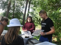 130 Raeküla tänavafestival AUGUSTIjäljed 2020. Foto: Urmas Saard / Külauudised