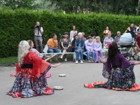 Raeküla V tänavafestival. Foto: Urmas Saard / Külauudised