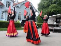 Raeküla V tänavafestival. Foto: Urmas Saard / Külauudised