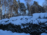Raeküla Vanakooli keskuse ees tähistatav neljas adventpüha. Foto: Urmas Saard / Külauudised