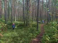 Raeküla Vanakooli keskuse huvikooli loodusring sügisetuleku ootel. Foto: Ave Teeääre