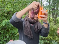 Raeküla Vanakooli keskuse huvikooli loodusring sügisetuleku ootel. Foto: Urmas Saard / Külauudised