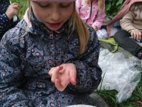 Raeküla Vanakooli keskuse huvikooli loodusring sügisetuleku ootel. Foto: Ave Teeääre
