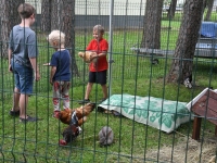 Raeküla VI tänavafestival Augustijäljed. Foto: Urmas Saard / Külauudised