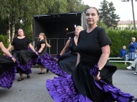 Raeküla VI tänavafestival Augustijäljed. Foto: Urmas Saard / Külauudised