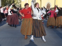 040 Rahvusvaheline tantsupäev Tallinnas. Foto: Urmas Saard