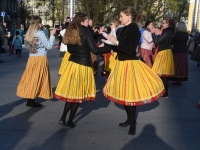 043 Rahvusvaheline tantsupäev Tallinnas. Foto: Urmas Saard