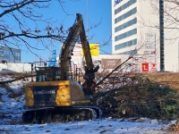 Rail Balticu ehituse alustamisega on jõutud Pärnusse. Foto: Urmas Saard / Külauudised