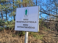 Rail Balticu ehituse alustamisega on jõutud Pärnusse. Foto: Urmas Saard / Külauudised