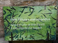 008 Rändekalade päev Padisel. Foto: Urmas Saard / Külauudised