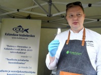 033 Rändekalade päev Padisel. Foto: Urmas Saard / Külauudised