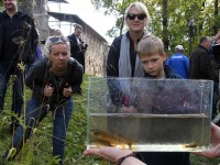 071 Rändekalade päev Padisel. Foto: Urmas Saard / Külauudised