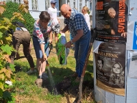 Rattaretk „Rohelised Jäljed Pärnus”. Foto: Urmas Saard / Külauudised